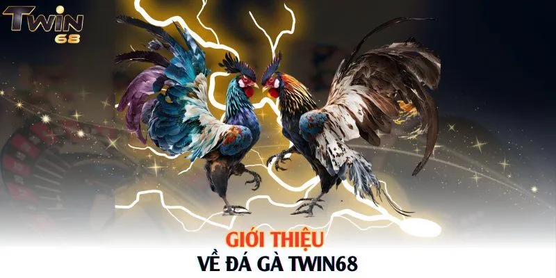 Giới thiệu về đá gà Twin68