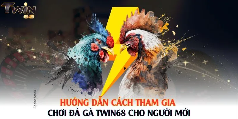 Hướng dẫn cách tham gia chơi đá gà Twin68 cho người mới