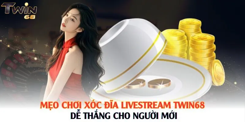 Mẹo chơi xóc đĩa Livestream Twin68 dễ thắng cho người mới